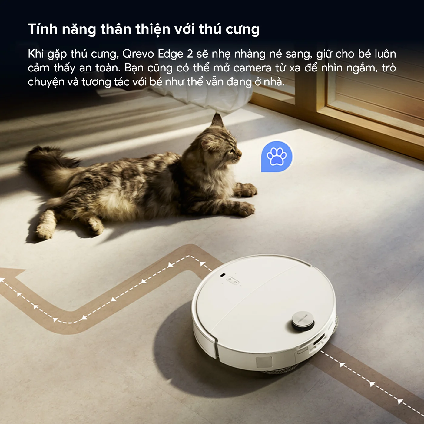 Qrevo Edge 2 11
